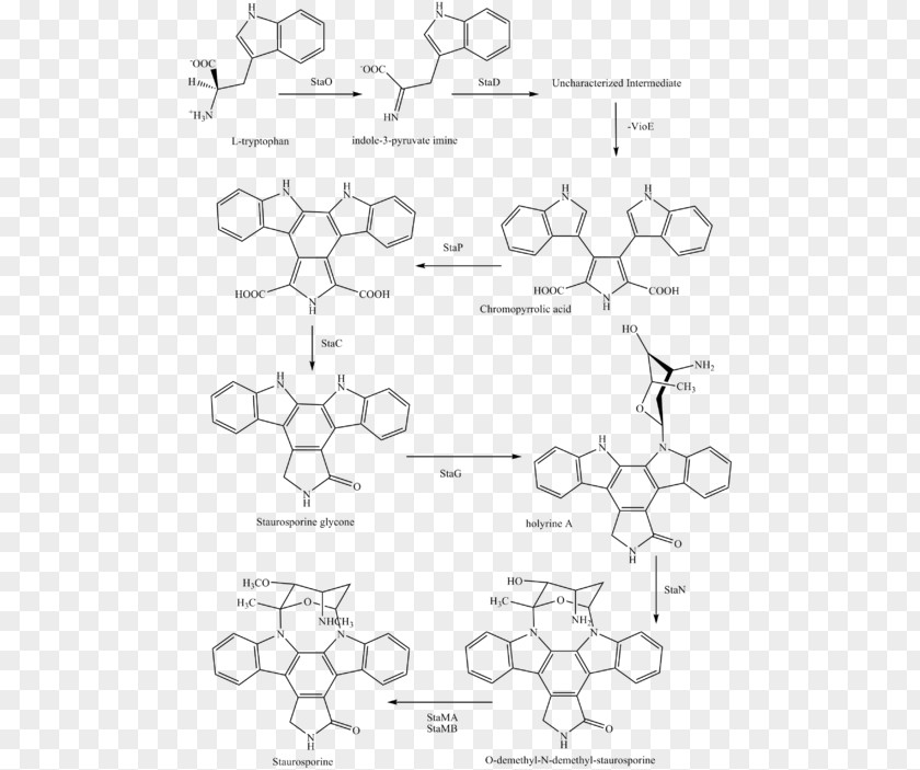 Staurosporine Midostaurin Chemical Synthesis Pharmaceutical Drug Semisynthesis PNG