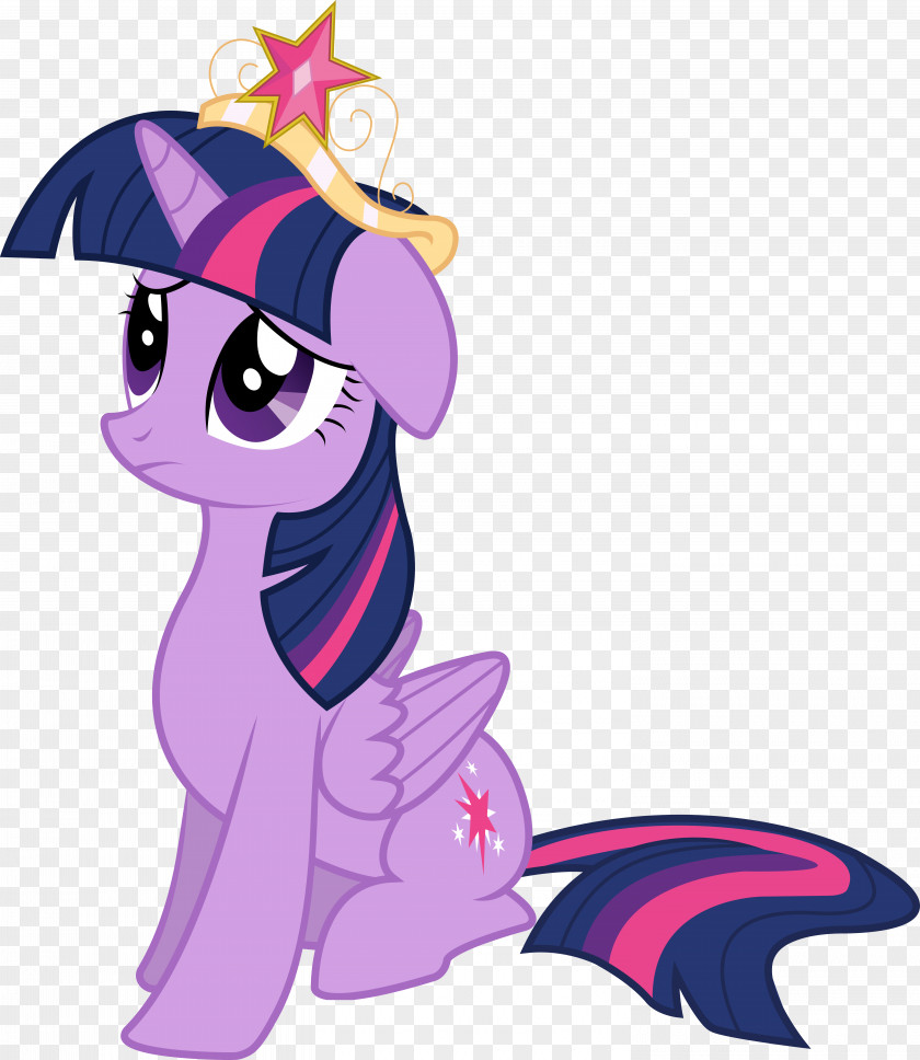 Twilight Sparkle Rarity Pony Princess Cadance Pinkie Pie PNG
