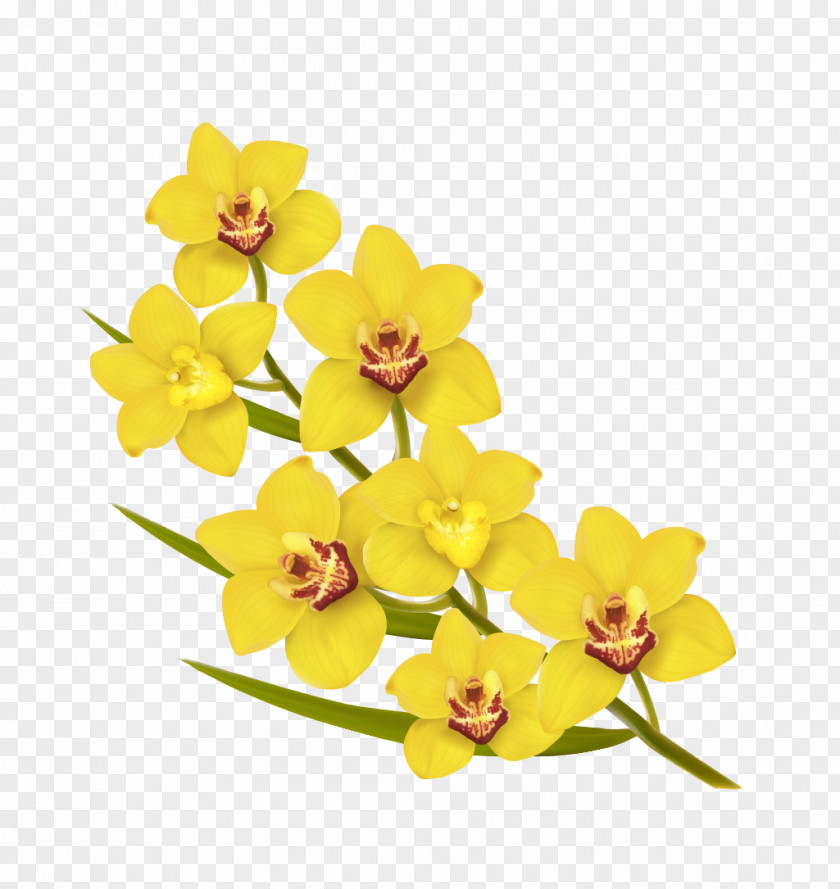 Blooming Flowers Vector Flower Yellow Euclidean Illustration PNG