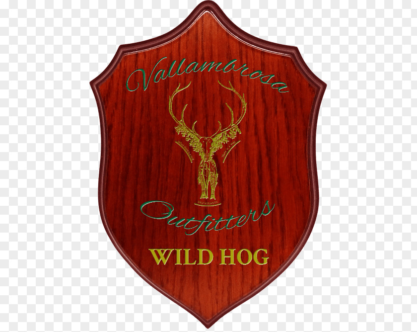 Boar Hunting Wild Trophy Outfitter PNG