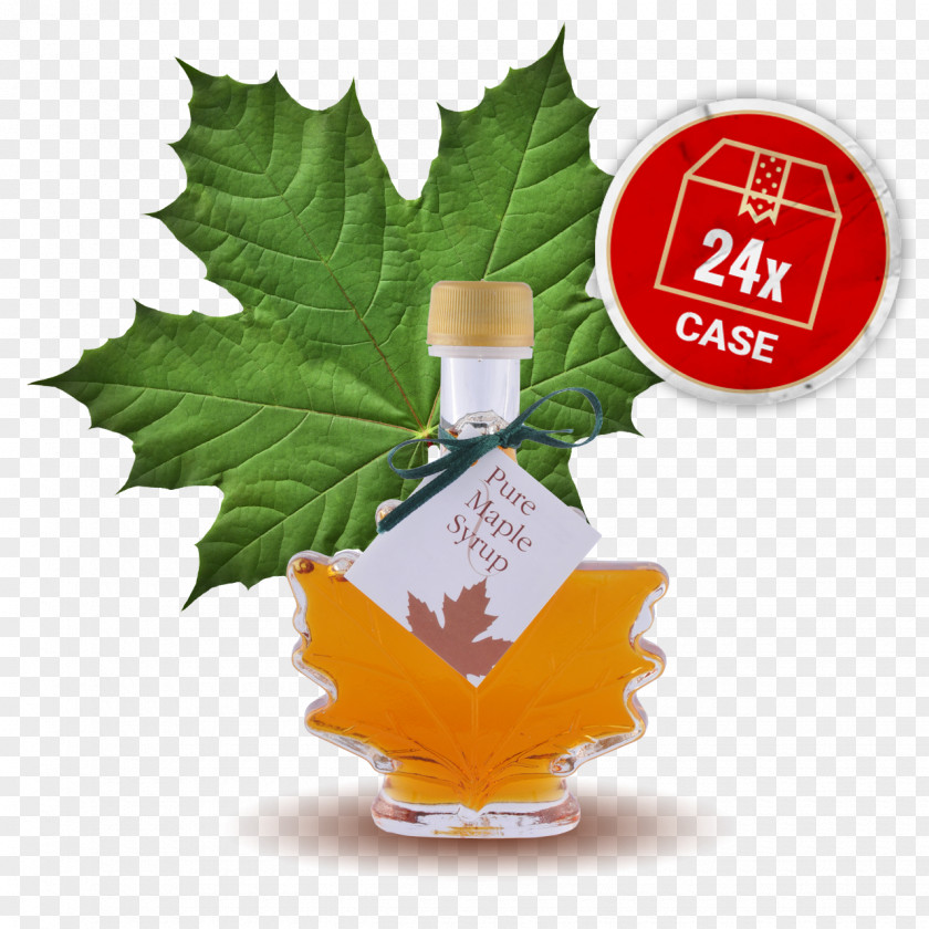 Bottle Maple Syrup Pancake PNG