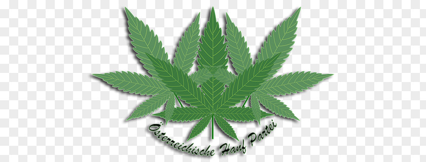 Cannabis Cannabidiol Hemp Article Bag PNG