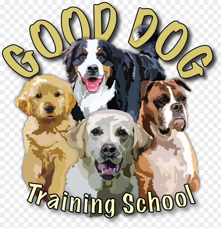 Certificate School Dog Breed Beagle Spaniel Puppy Love PNG
