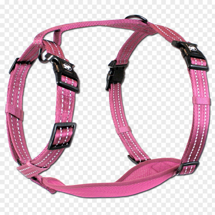 Dog Harness Leash Horse Harnesses Tack PNG