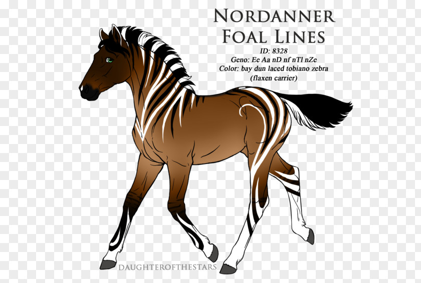 Mustang Mane Foal Stallion Mare PNG