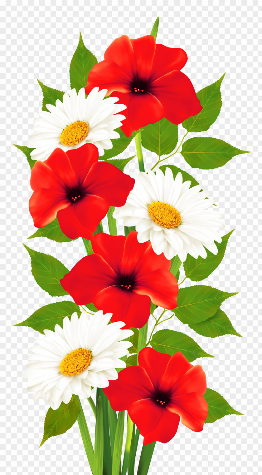 Poppies And Daisies Transparent Clipart Flower Clip Art PNG