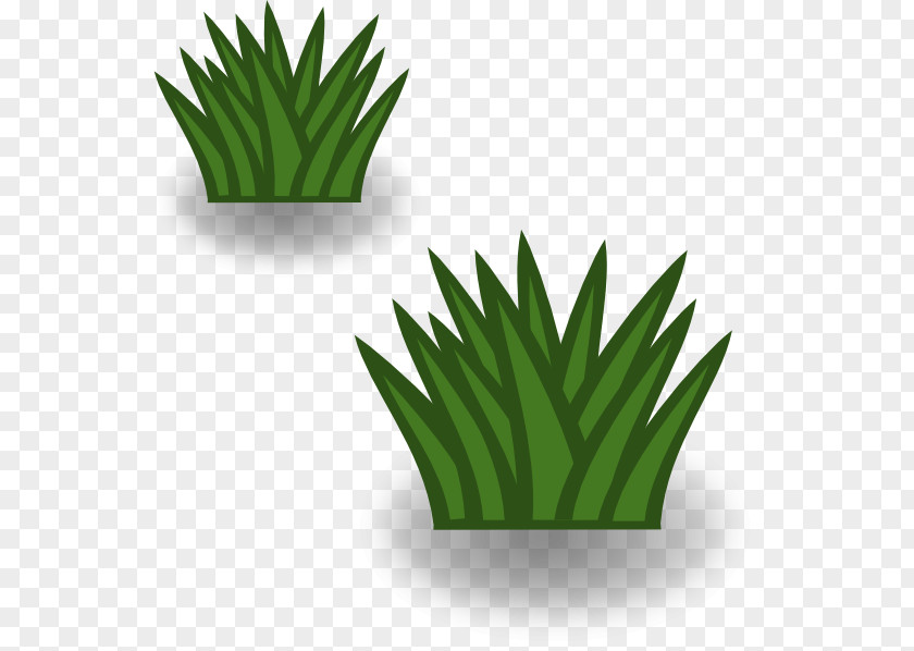 Side Grazing Temperate Grasslands, Savannas, And Shrublands Clip Art PNG