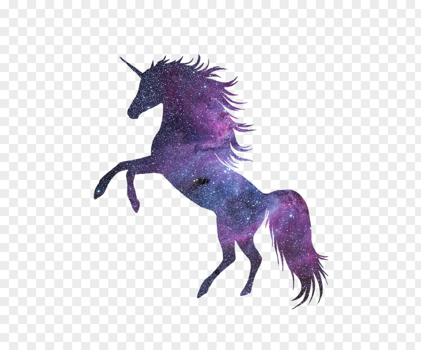 Unicorn Art Onesie PNG