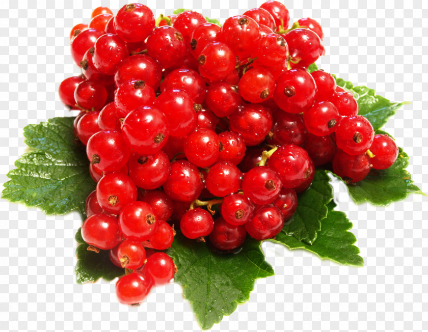Berries Juice Redcurrant Blackcurrant Gooseberry Fruit PNG