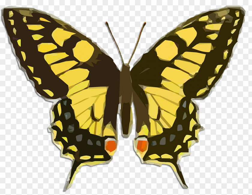 Butterfly Swallowtail Insect Clip Art PNG