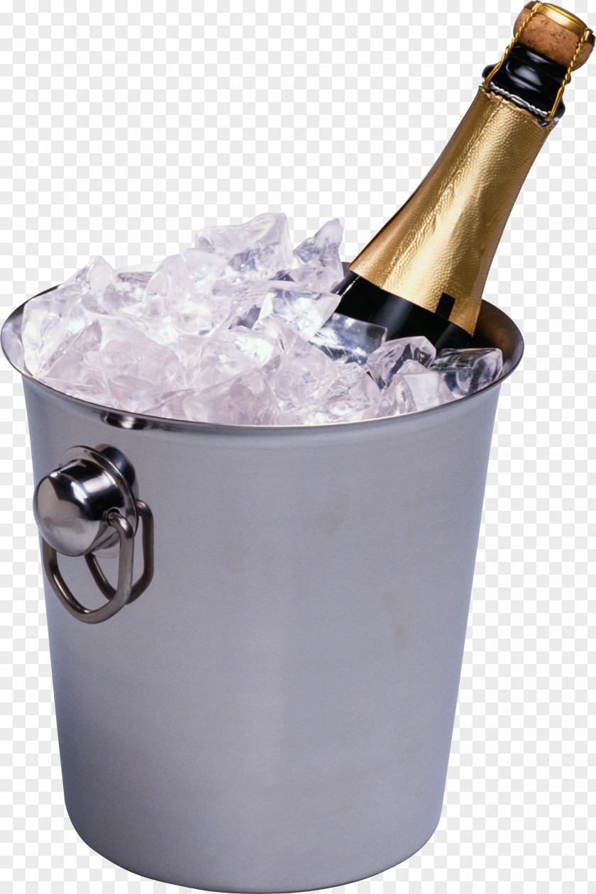 Champagne Tranifesto PNG