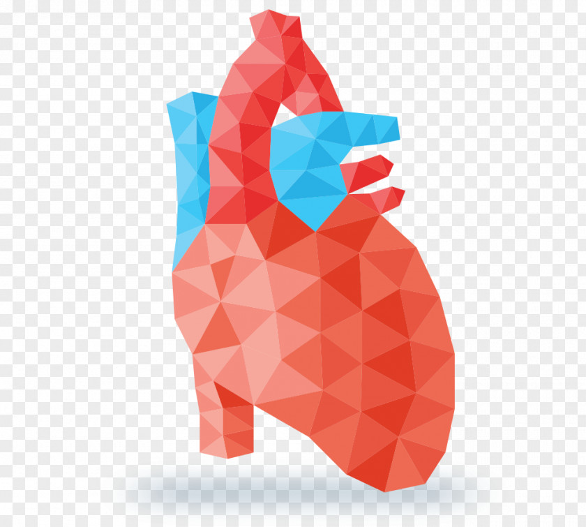Heart Drawing Geometry PNG