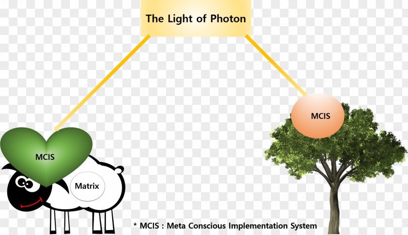 Light Photon Tree Plants Consciousness PNG