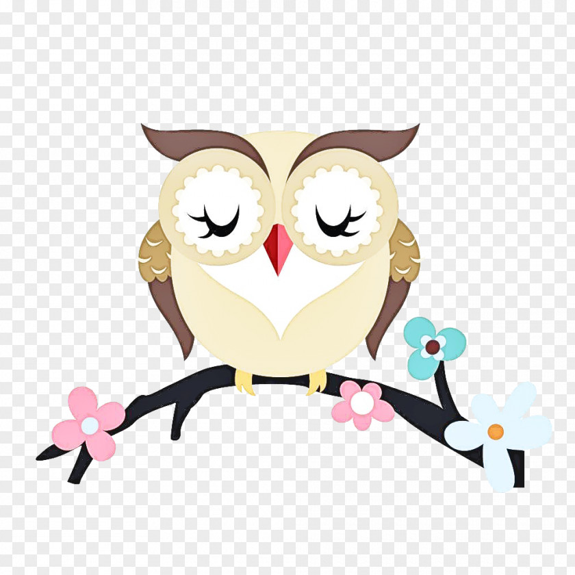 Owls Birds Beak Bird Of Prey Meter PNG