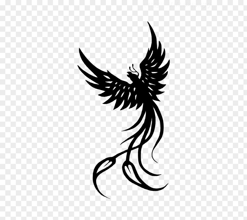 Phoenix Tattoos Transparent Images Tattoo Idea PNG