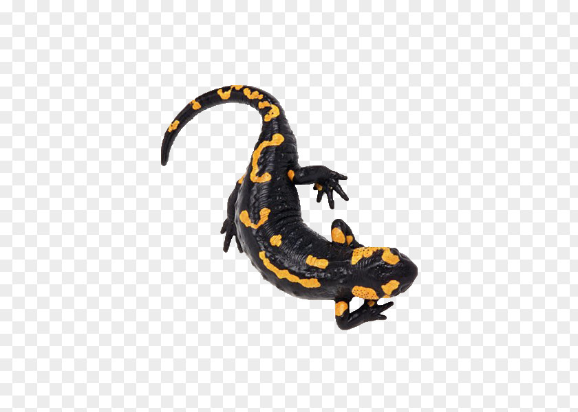 We Are Creative Lizard Image Fire Salamander Icon PNG