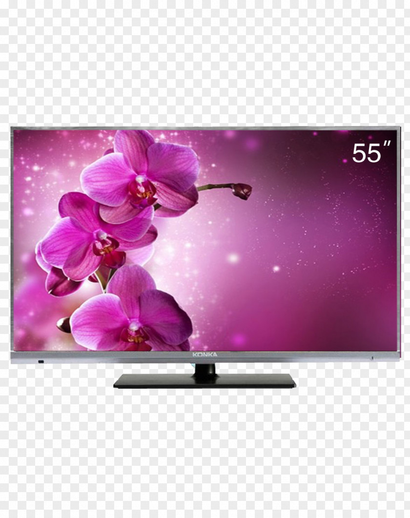 4K Hard Screen LCD TV Local Control Of Light Border Flowers Orchids PNG