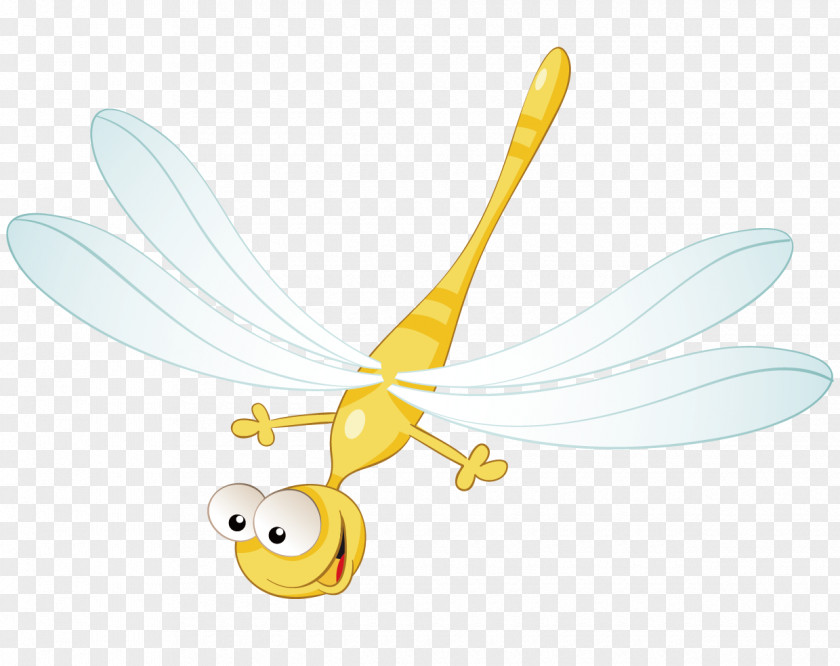 Cartoon Dragonfly Vector Material PNG