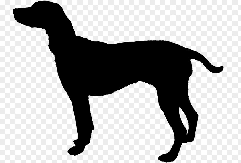 Clip Art Labrador Retriever Silhouette English Mastiff Vector Graphics PNG