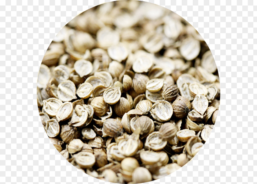 Coriander Metric Ton Krasnodar Krai Commodity Quantity PNG