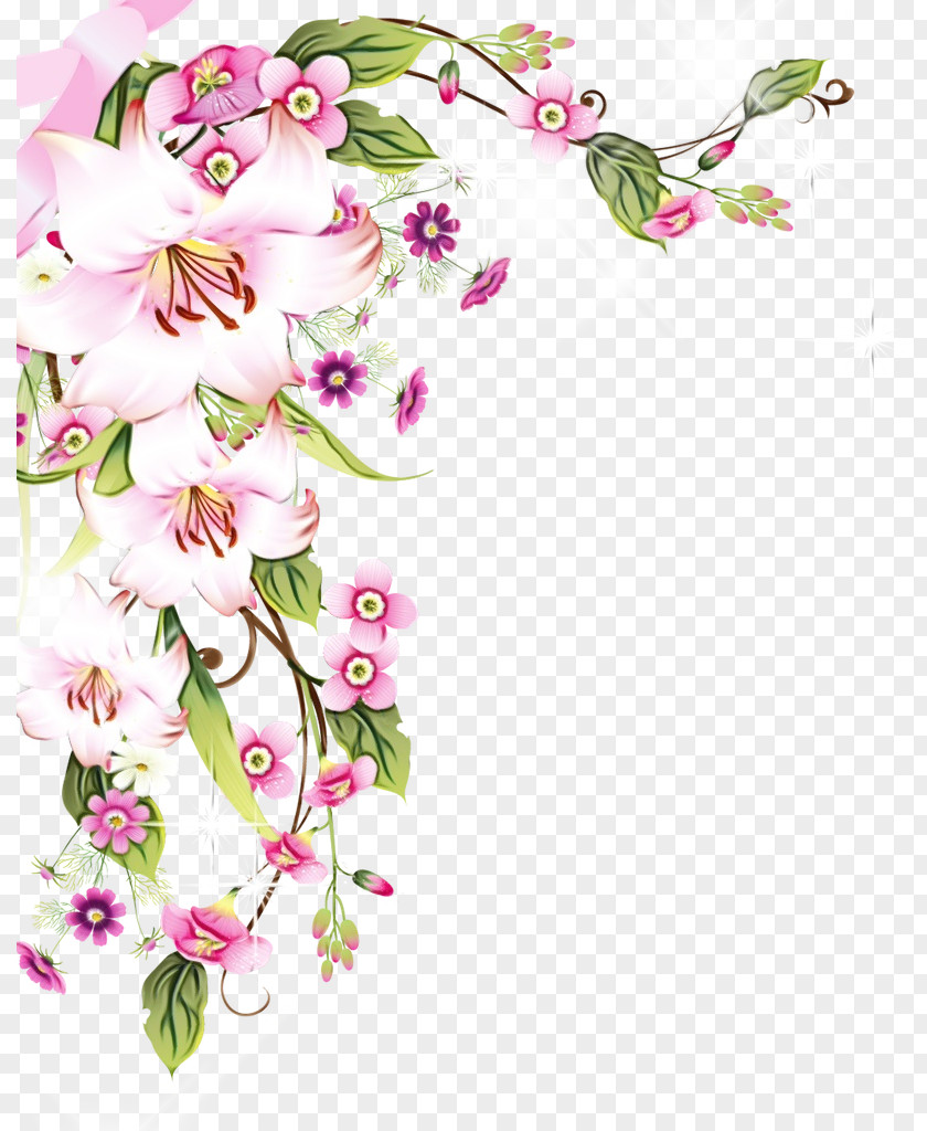 Dendrobium Prickly Rose Floral Spring Flowers PNG