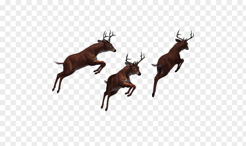 Jumping Deer Reindeer Elk PNG
