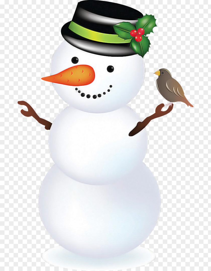 Beak Bird Snowman PNG