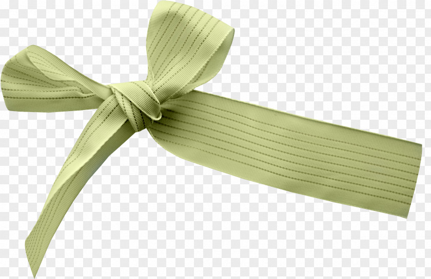 Bow Ribbon Green Shoelace Knot Tie PNG
