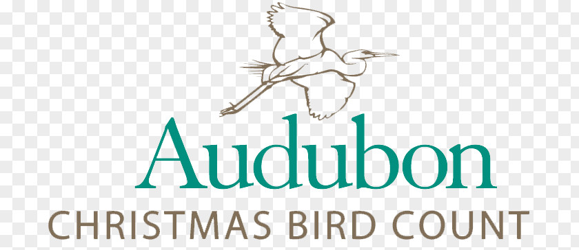 Count National Audubon Society Christmas Bird Conservation PNG
