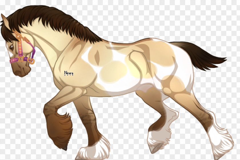 Spirit Horse Mustang Foal Stallion Colt Halter PNG