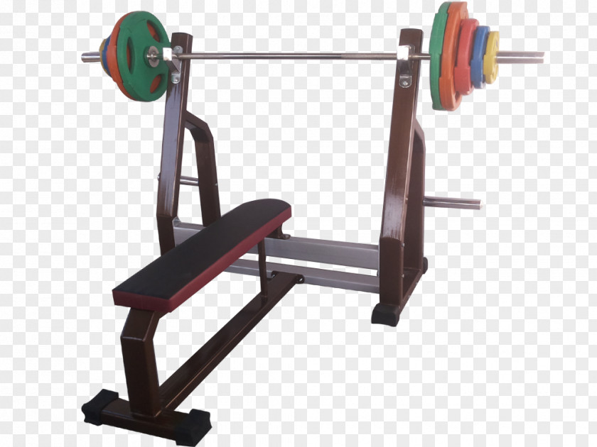 Barbell Bench Olympic Weightlifting Weight Training PNG