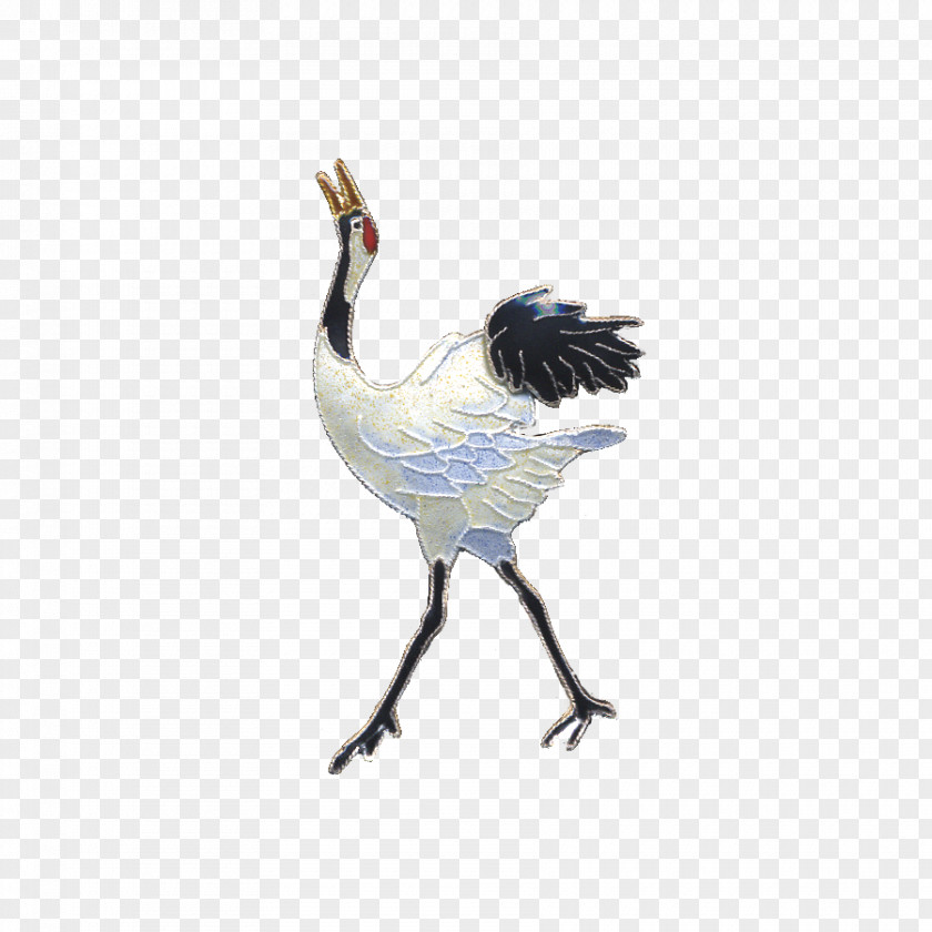 Bird Water Galliformes Beak Feather PNG