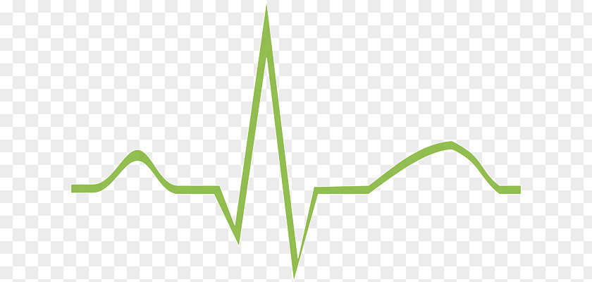 Curves Vector Electrocardiography Heart Health Care Clip Art PNG