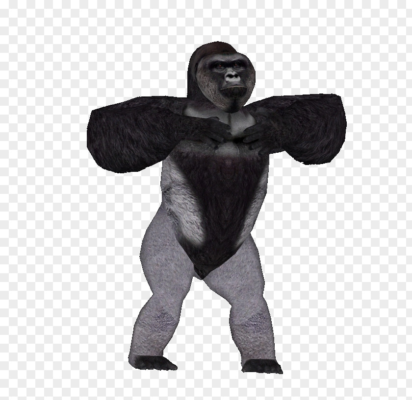 Harambe Desktop Wallpaper Gorilla PNG