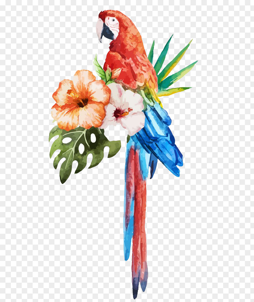 Parrot Watercolor Flowers Bird Painting Stock Photography PNG