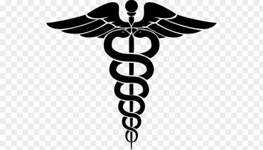 Symbol Physician Medicine Logo Clip Art PNG