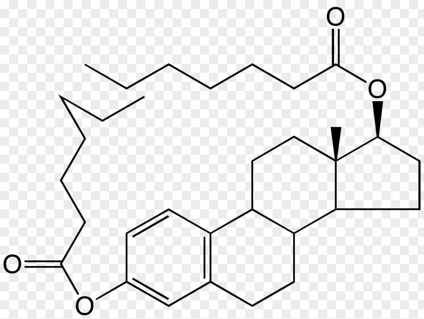 Carboxyfluorescein Diacetate Succinimidyl Ester Hsp90 Estradiol Estrogen Hormone Heat Shock Protein PNG