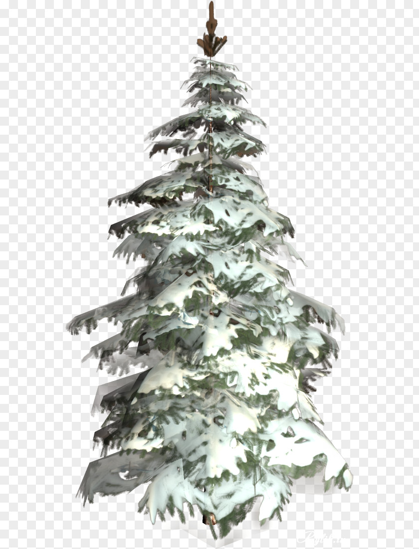 Christmas Tree Spruce Ornament Fir Pine PNG