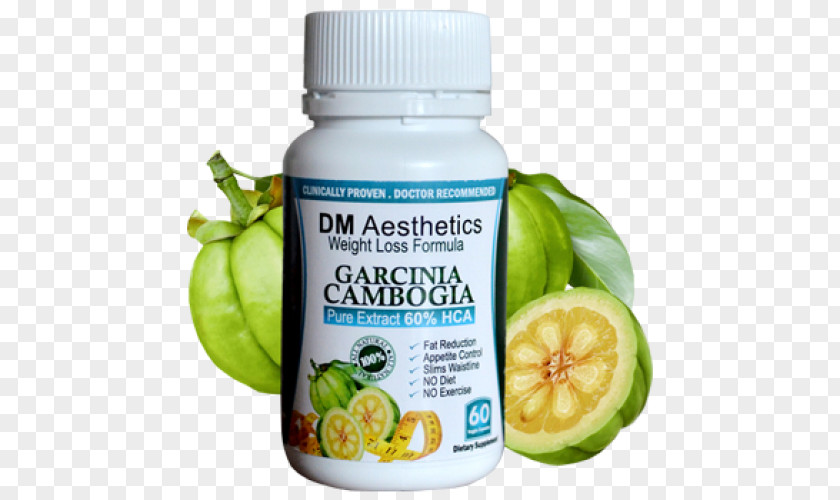 Garcinia Cambogia Aesthetics Weight Loss Extract Hydroxycitric Acid PNG