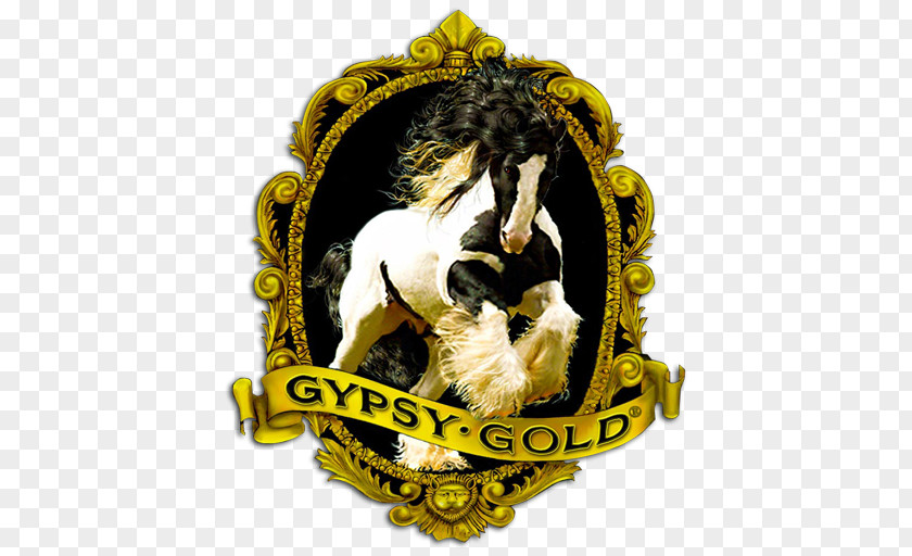 Gypsy Horse Gold Farm Foal Stallion PNG