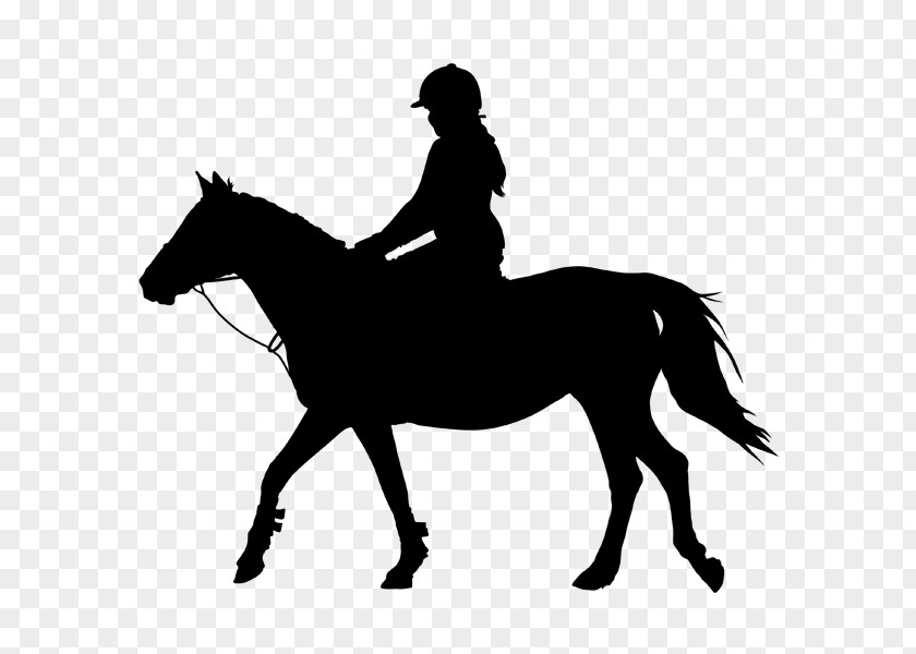 Horse Riding Horse&Rider Equestrian Silhouette Clip Art PNG