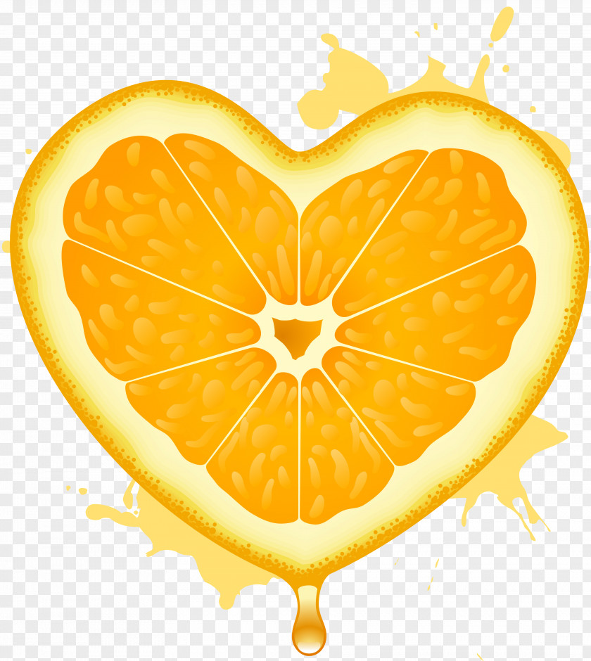 Orange Juice Fruit Lemon PNG