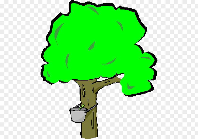 A Vibrant Tree Clip Art PNG