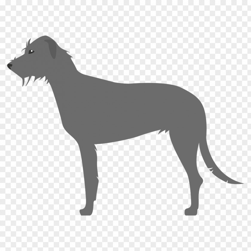 Amstaff Italian Greyhound Sloughi Spanish Whippet PNG