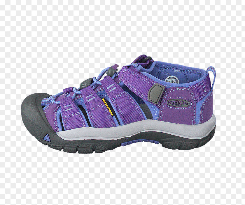 Design Sneakers Hiking Boot Shoe PNG