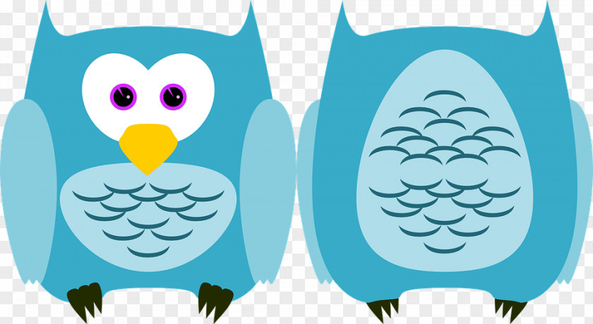 Owl Bird Beak Plumage Clip Art PNG