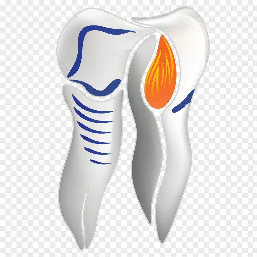 Personal Care Tooth Cartoon PNG