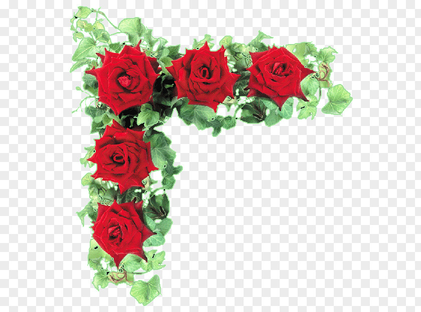 Rose Garden Roses Cut Flowers PNG