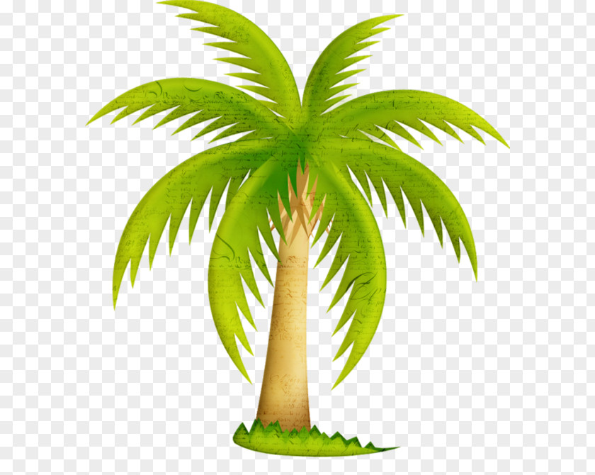 Tree California Palm Trees Clip Art Mexican Fan PNG