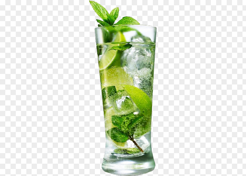 Mojito Cocktail Fizzy Drinks Light Rum Caipirinha PNG